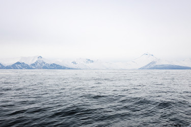 Similar image 22275802