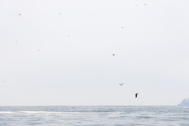 Similar image 22275803