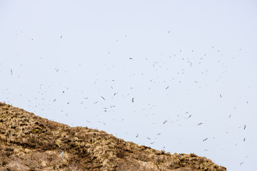 Similar image 22275805