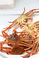 Similar image 22275806