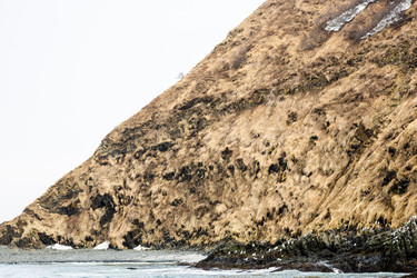 Similar image 22275807