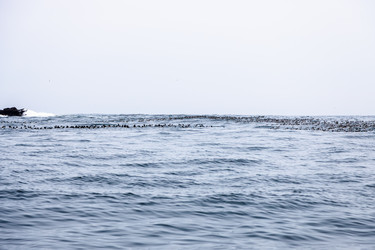 Similar image 22275808