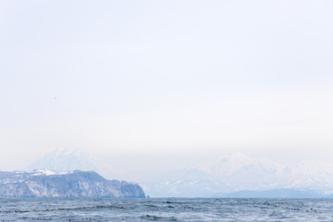 Similar image 22275809