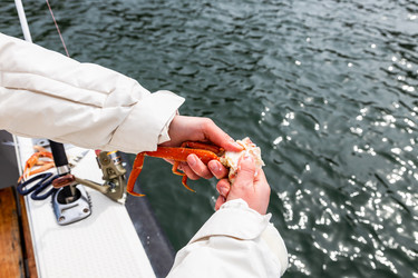 Similar image 22275816