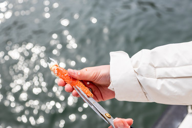 Similar image 22275817