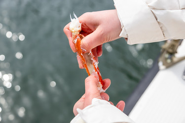 Similar image 22275818