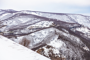 Similar image 22275822