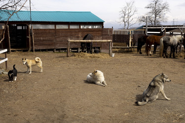 Similar image 22275826