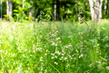 Similar image 22275834