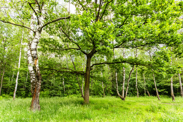 Similar image 22276147