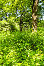 Similar image 22276148