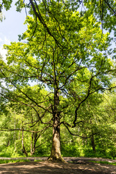 Similar image 22276149