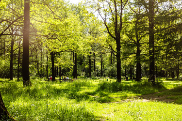 Similar image 22276150