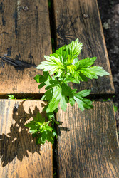 Similar image 22276151