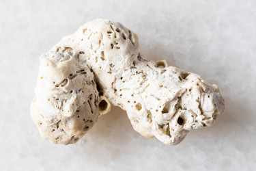 Similar image 22276171