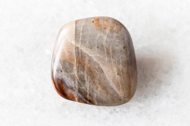 Similar image 22275865