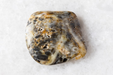 Similar image 22275871