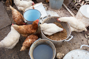 Similar image 22277763