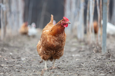 Similar image 22277795