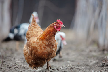 Similar image 22277796