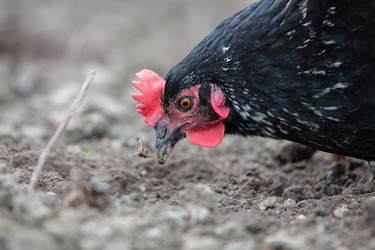 Similar image 22277797