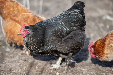 Similar image 22277801