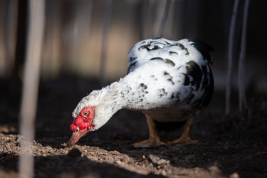 Similar image 22277803