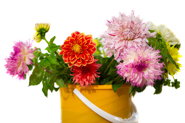 Similar image 22277804