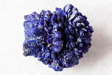 Similar image 22276197