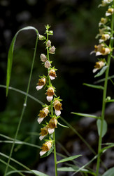 Similar image 22248780