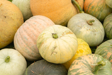 Similar image 22248784