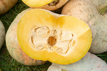 Similar image 22248785