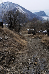 Similar image 22275950