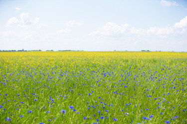 Similar image 22277305