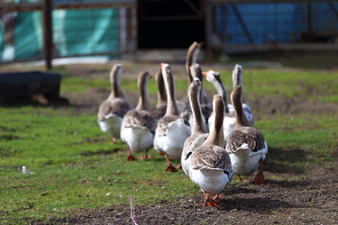 Similar image 22277339