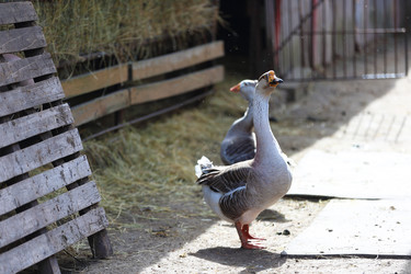 Similar image 22277342