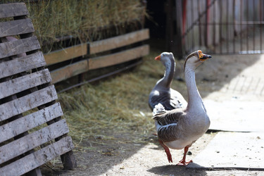 Similar image 22277343