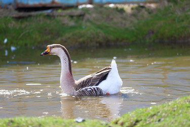 Similar image 22277347