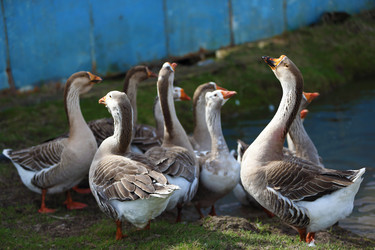 Similar image 22277349