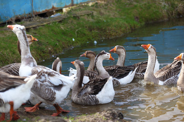 Similar image 22277350