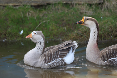 Similar image 22277614