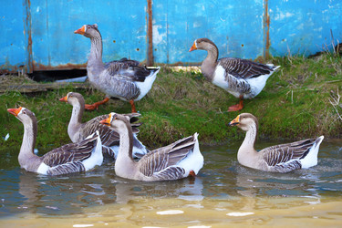 Similar image 22277615