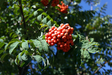 Similar image 22278561