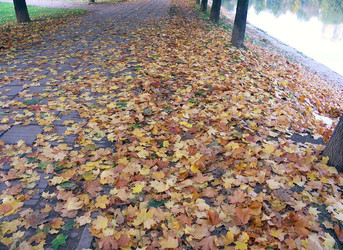 Similar image 22278569