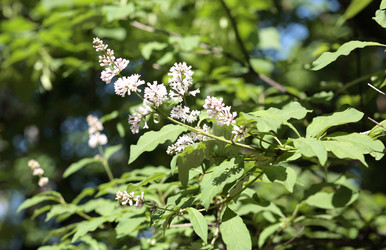 Similar image 22278581