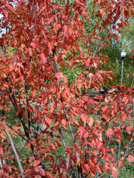 Similar image 22278588