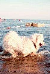 Similar image 22268595