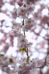 Similar image 22248684