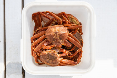 Similar image 22276211