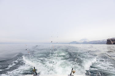 Similar image 22276216